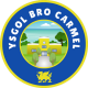 Ysgol Bro Carmel - Teaching Assistant Apprentice