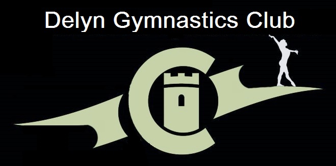 Delyn Gymnastics - Coaching Assistant Apprentice
