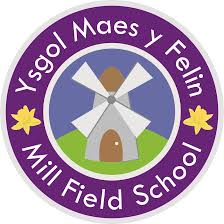 Ysgol Maes y Felin - 1 to 1 Teaching Assistant Apprentice